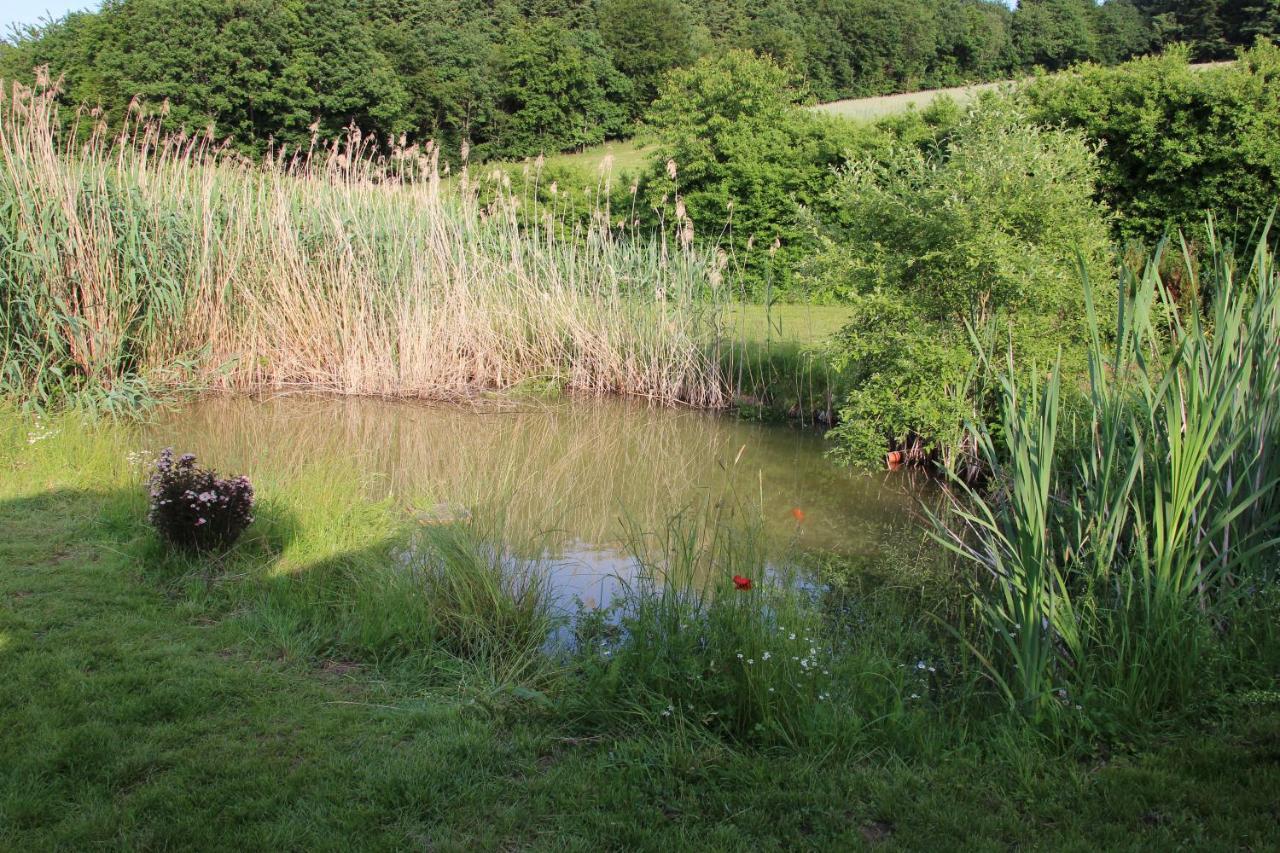 Fewogriebelschied Extérieur photo
