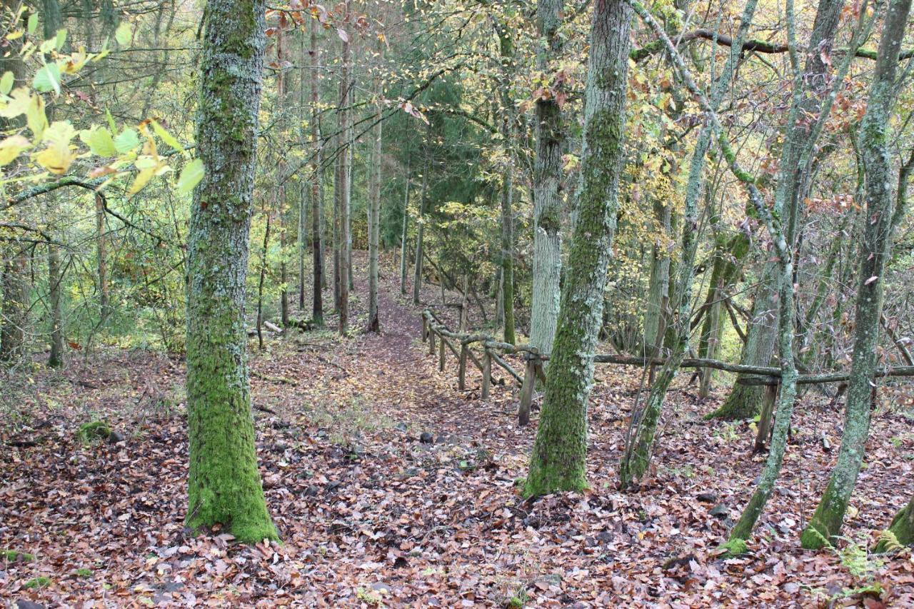Fewogriebelschied Extérieur photo